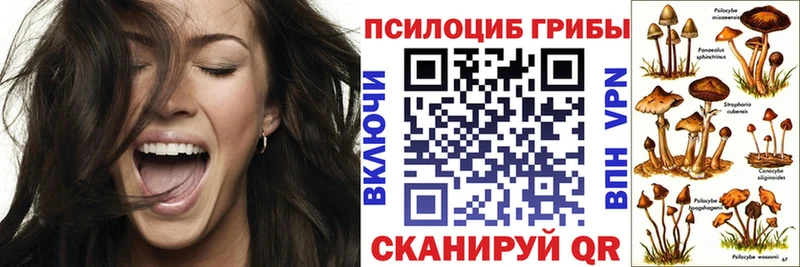 Псилоцибиновые грибы ЛСД  купить наркотики сайты  Черняховск 